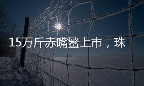 海海寒潮等多种恶劣工况