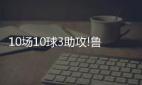 快排公司十年历程，霸屏兔 seo 的崛起与坚守