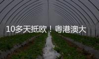 快排公司十年历程，霸屏兔 seo 的崛起与坚守