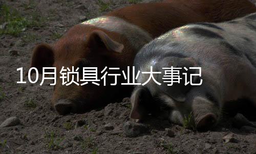 事记隐私的月锁业特殊行业
