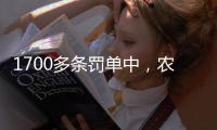 1700多条罚单中
，农商行“出镜率”最高	，齐鲁银行领最高额罚单｜金融合规榜