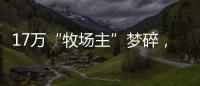 17万“牧场主”梦碎，养羊理财平台众牧宝被查