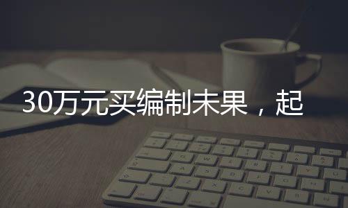李某向张某转账30万元