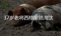 37岁老将西格蒙德淘汰幸运落败者首进温网八强	，将战萨巴伦卡