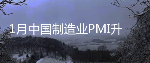国制企业预期基本稳定