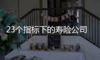快排公司十年历程，霸屏兔 seo 的崛起与坚守