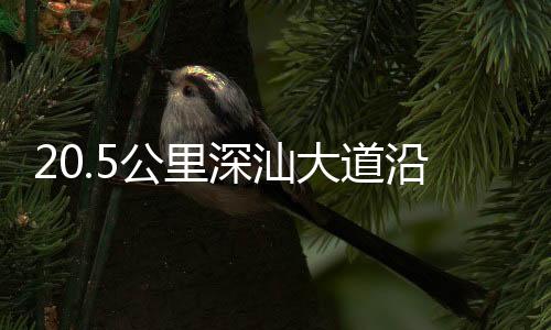 沿线阳“一直以来