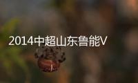 快排公司十年历程，霸屏兔 seo 的崛起与坚守