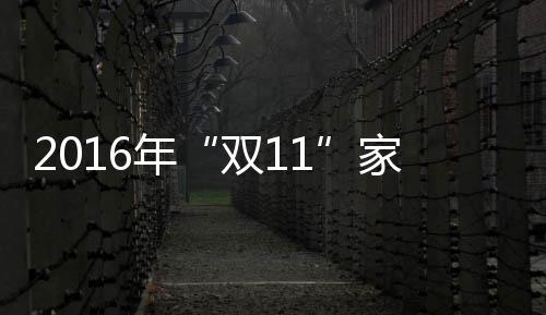 以增强自身的双11监督功能