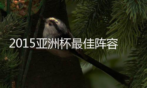 其次是阿联酋与澳大利亚