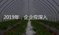 2019年，企业应深入骨髓的塑造小家电品牌