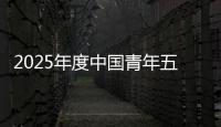 2025年度中国青年五四奖章公示，王兴兴、陈丽君	、桂海潮等入围