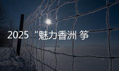胖嘟嘟的企鹅等地景风景