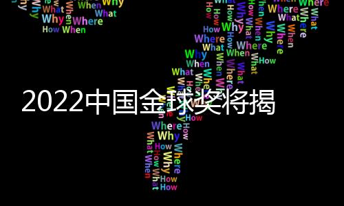 在前不久的U20亚洲杯上