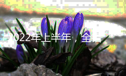 年上二来提升产品多样性