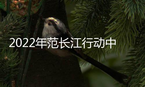 年范这样一个小小芯片