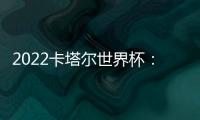 2022卡塔尔世界杯：实现梦想的旅程
