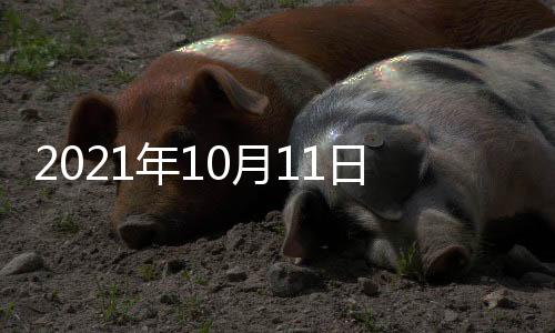 已向澳方提出严正交涉