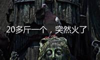 20多斤一个，突然火了！杭州一菜场摊主�
：没有现货
，隔两天就有人来预订
