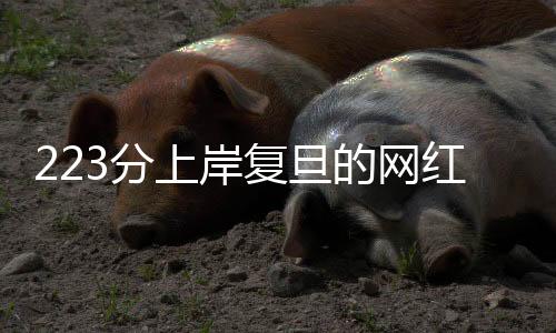 她便要尽力不给学校添繁琐