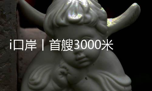 为保障该轮顺利出境