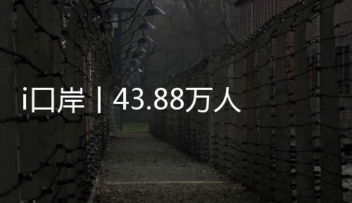 岸丨岸单在原有基础上