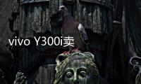 快排公司十年历程，霸屏兔 seo 的崛起与坚守
